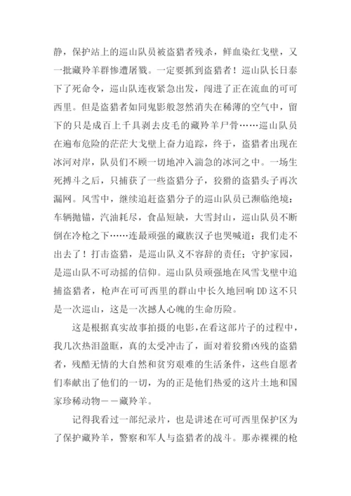 可可西里观后感500字.docx
