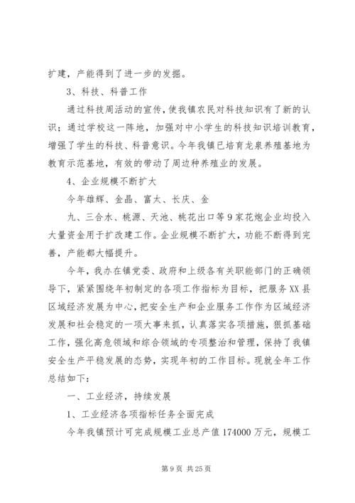 乡镇经发办工作总结及工作计划.docx