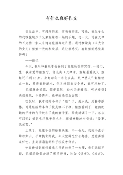 有什么真好作文.docx