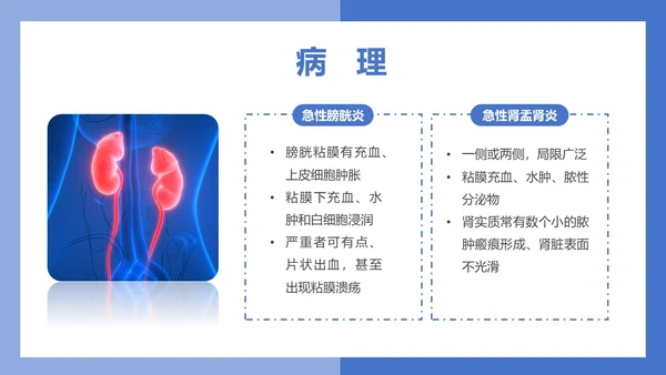 医疗风医疗泌尿系感染PPT模板