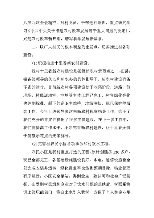 村党支部年终工作总结优选