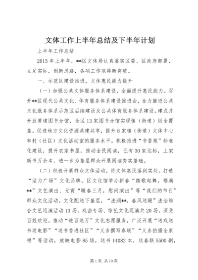 文体工作上半年总结及下半年计划.docx