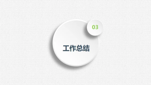 项目评估工作总结布纹质感通用PPT模板
