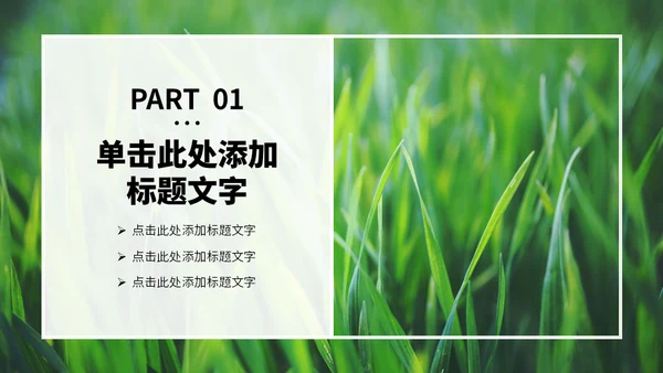 绿色的田野春天生态农业通用PPT模板