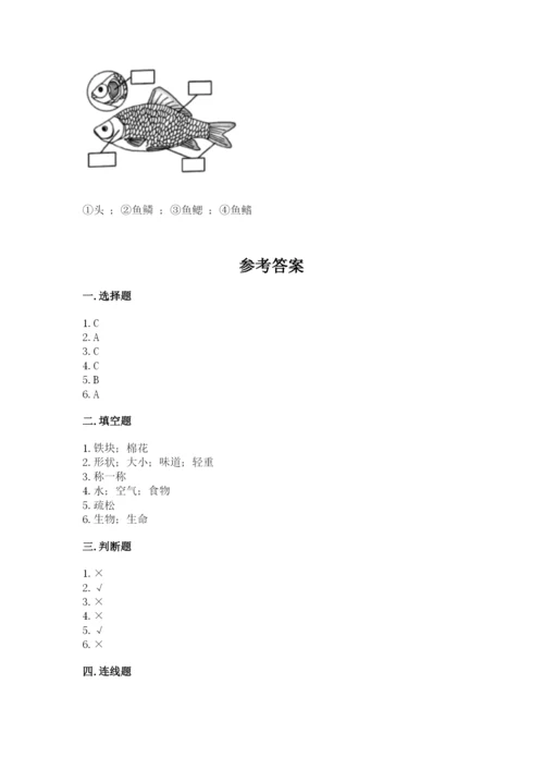 教科版一年级下册科学期末测试卷【含答案】.docx