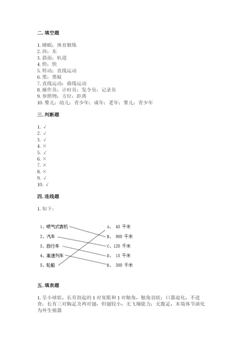教科版科学三年级下册 期末测试卷审定版.docx