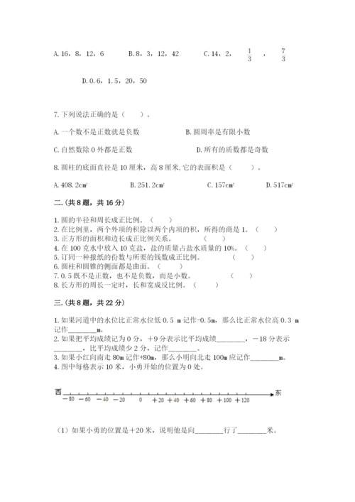 河南省平顶山市六年级下册数学期末考试试卷附答案（达标题）.docx