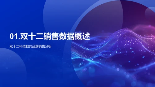 双十二科技销售研究PPT模板