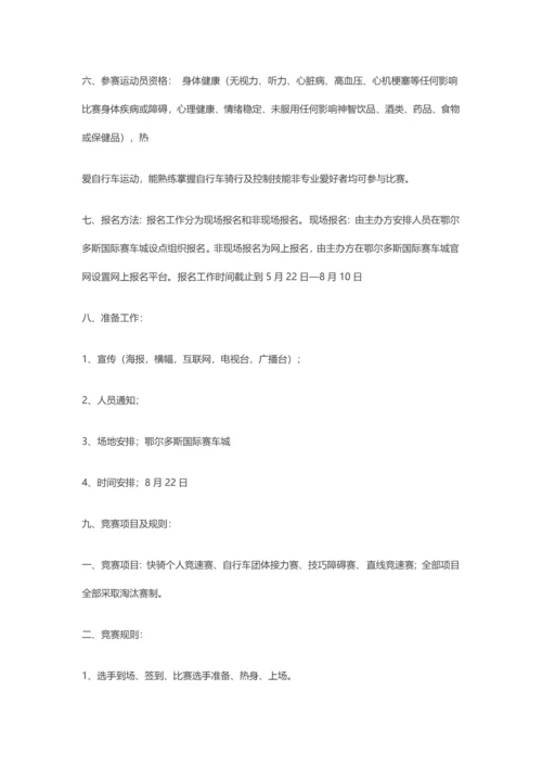 大型骑行赛事活动专业方案.docx