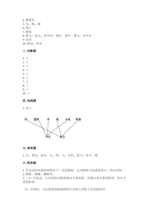 教科版三年级下册科学期末测试卷含完整答案【历年真题】.docx