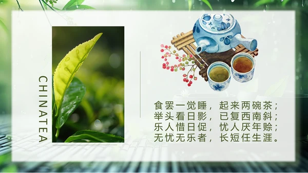 春茶通用PPT模板