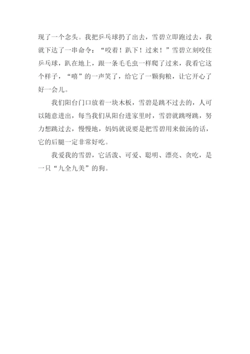 养狗的乐趣作文500字.docx