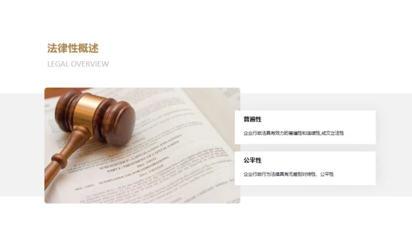 黑色创意法律论文答辩PPT主题
