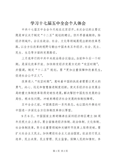 学习十七届五中全会个人体会.docx