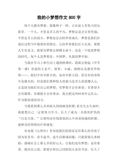 我的小梦想作文800字.docx