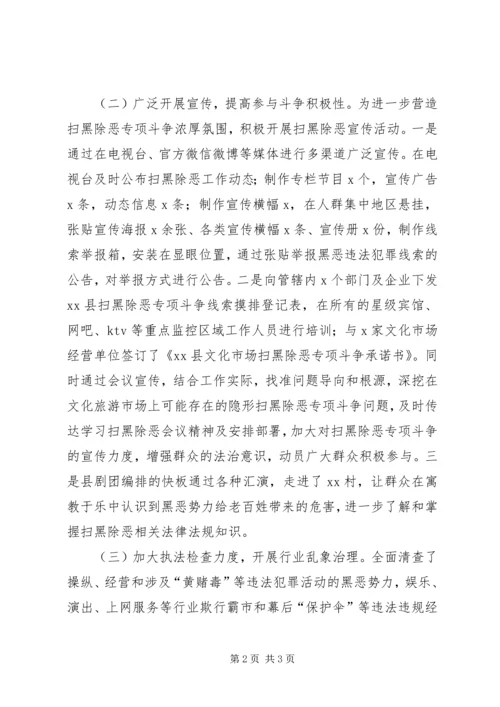 文化和旅游局扫黑除恶专项斗争工作汇报.docx