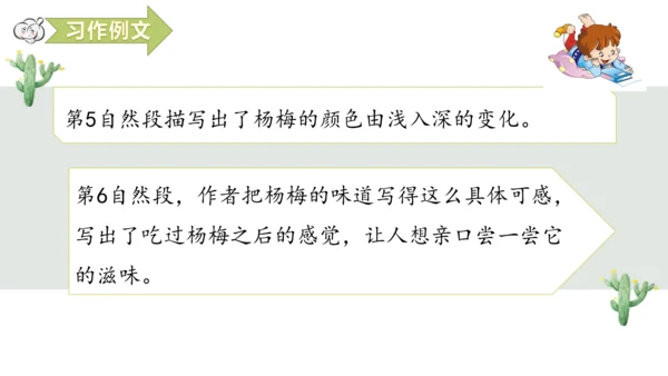 第五单元习作例文我爱故乡的杨梅