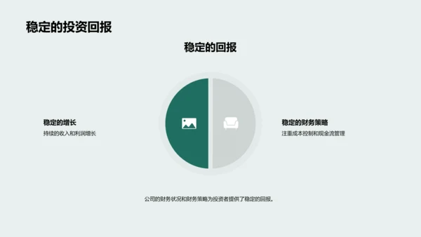 财务状况与策略解析