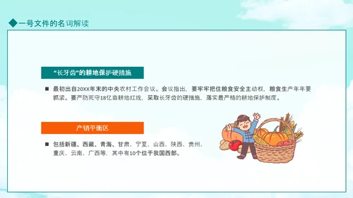 国务院全面推进乡村振兴PPT模板