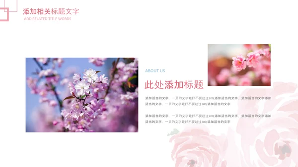 妇联三八妇女节年终工作总结汇报PPT模板