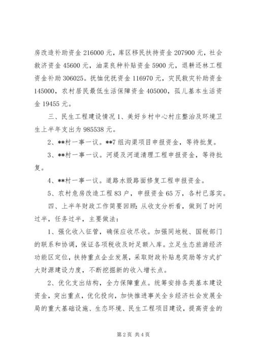 乡镇财政上半年工作总结和下半年工作计划.docx