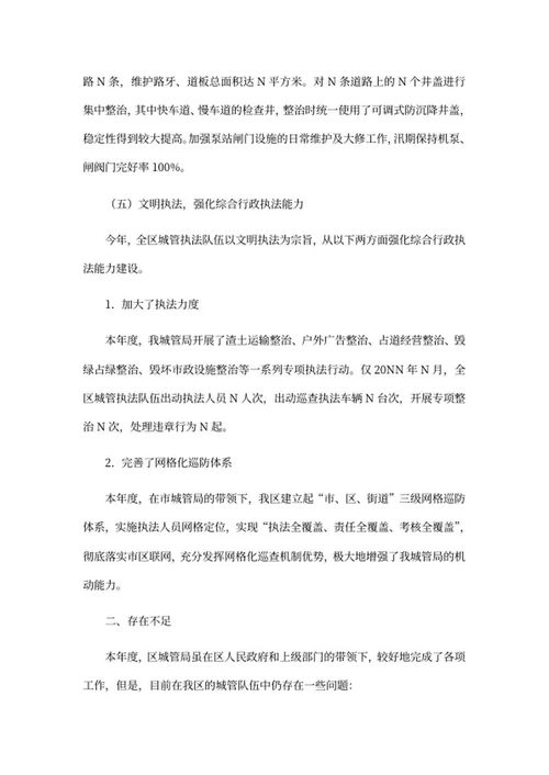 城管局年度工作报告word模板