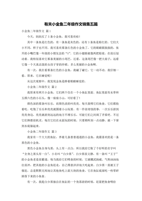 有关小金鱼二年级作文锦集五篇.docx