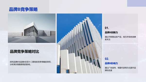 双十二科技销售研究PPT模板