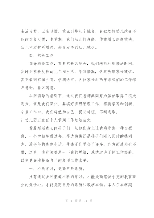 幼儿园班主任个人学期工作总结范文.docx