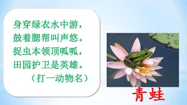 3 小青蛙   课件