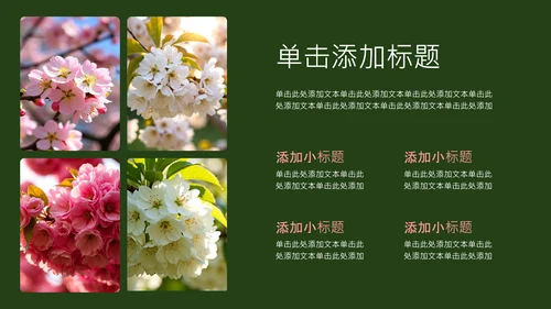 粉绿色简约几何樱花介绍