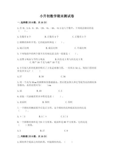 小升初数学期末测试卷含完整答案（必刷）.docx