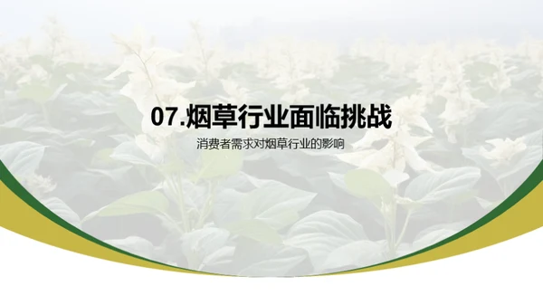 烟草业：新纪元新挑战