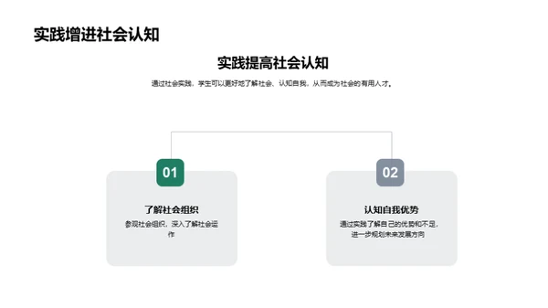 社会实践深度解析