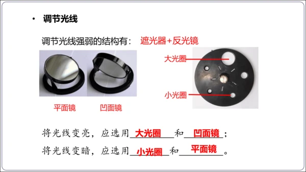 1.1&1.2 认识生物和细胞（复习课件）【2024人教新版七上生物高效完全备课】(共44张PPT)