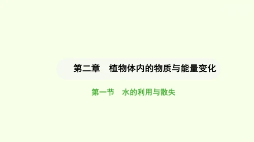 第三单元-第二章-第一节-水的利用与散失课件-2024-2025学年七年级生物下学期人教版(2024