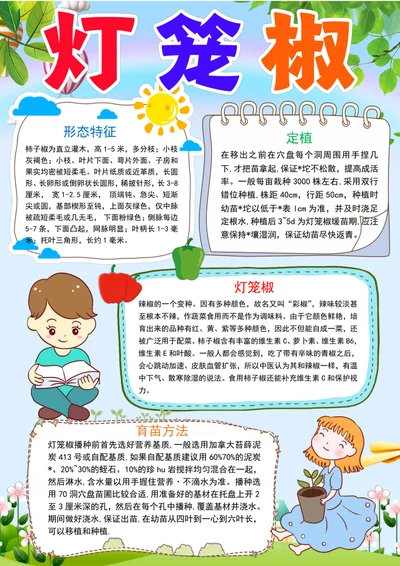灯笼椒成长日记小报植物生长手抄报电子小报