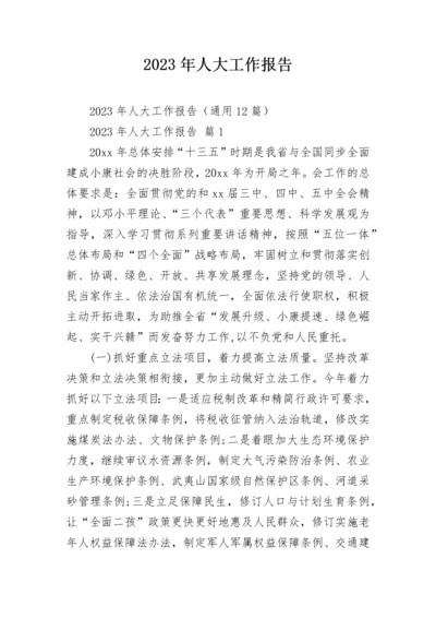 2023年人大工作报告.docx