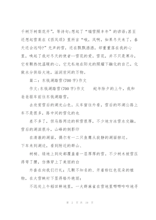 踏雪,初一作文.docx
