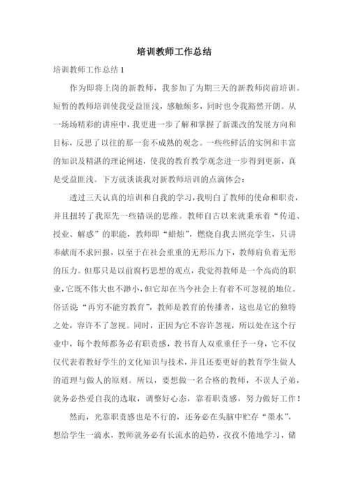 培训教师工作总结.docx