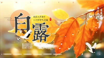 秋色白露节气，秋意浓通用PPT模板