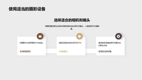 探索非洲野生动物之旅