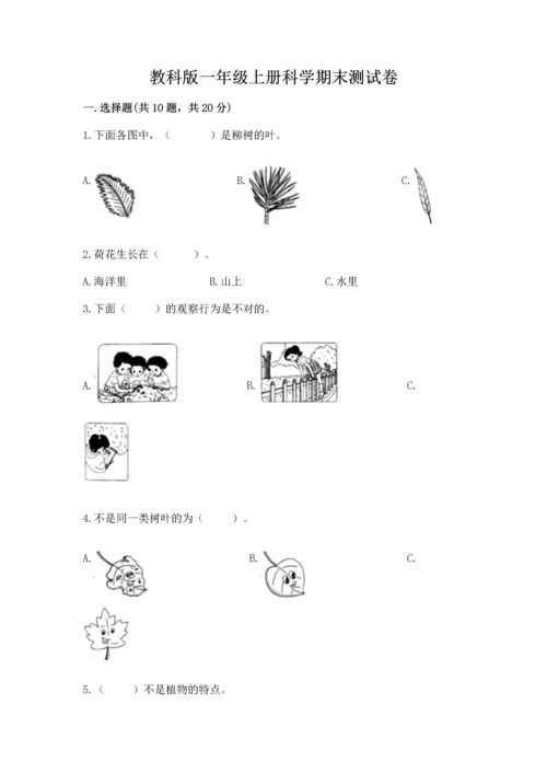 教科版一年级上册科学期末测试卷精品【综合题】.docx