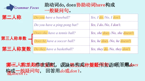 Unit 5 Grammar Focus课件 （人教新目标七年级上册Unit 5 Do you ha