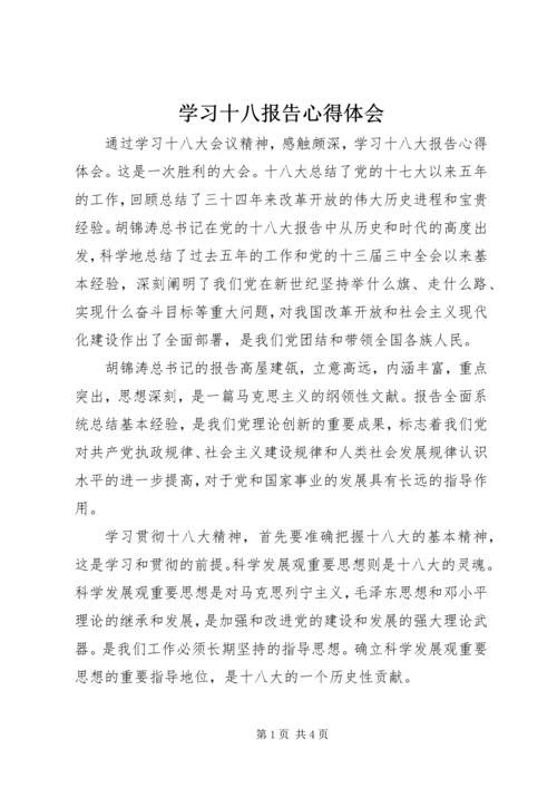 学习十八报告心得体会 (4).docx