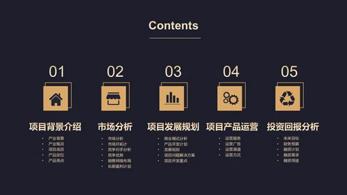 高端黑金商业计划书通用PPT模板