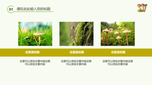 绿色植物野生菌类生长动态ppt