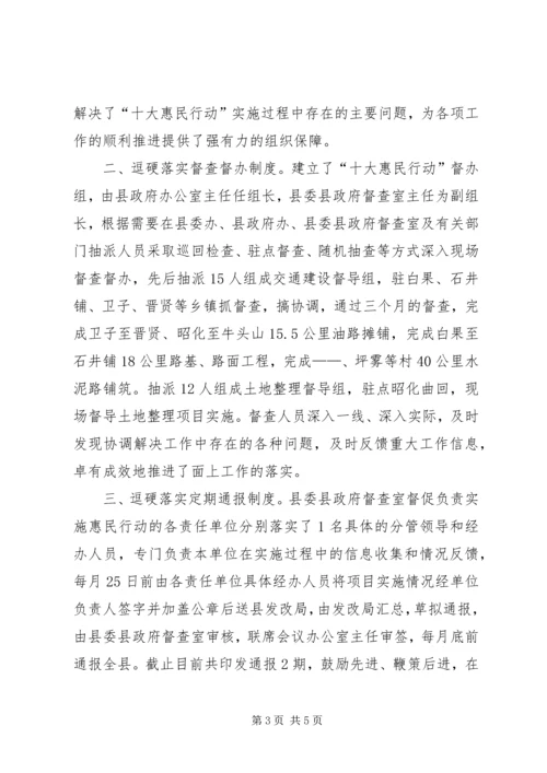 县落实十大惠民行动的经验做法.docx