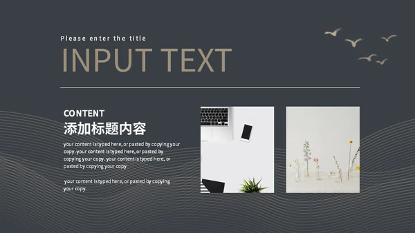 亮金奢华质感产品项目发布通用PPT模板