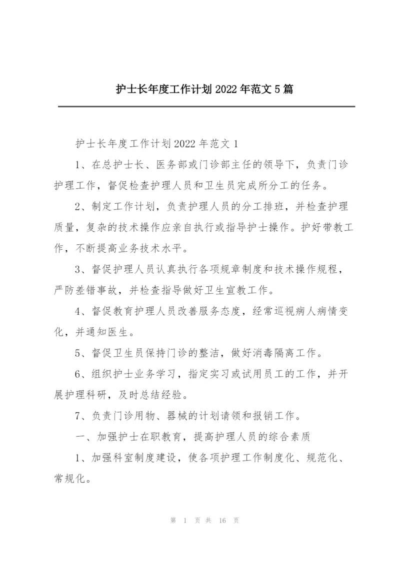 护士长年度工作计划2022年范文5篇.docx